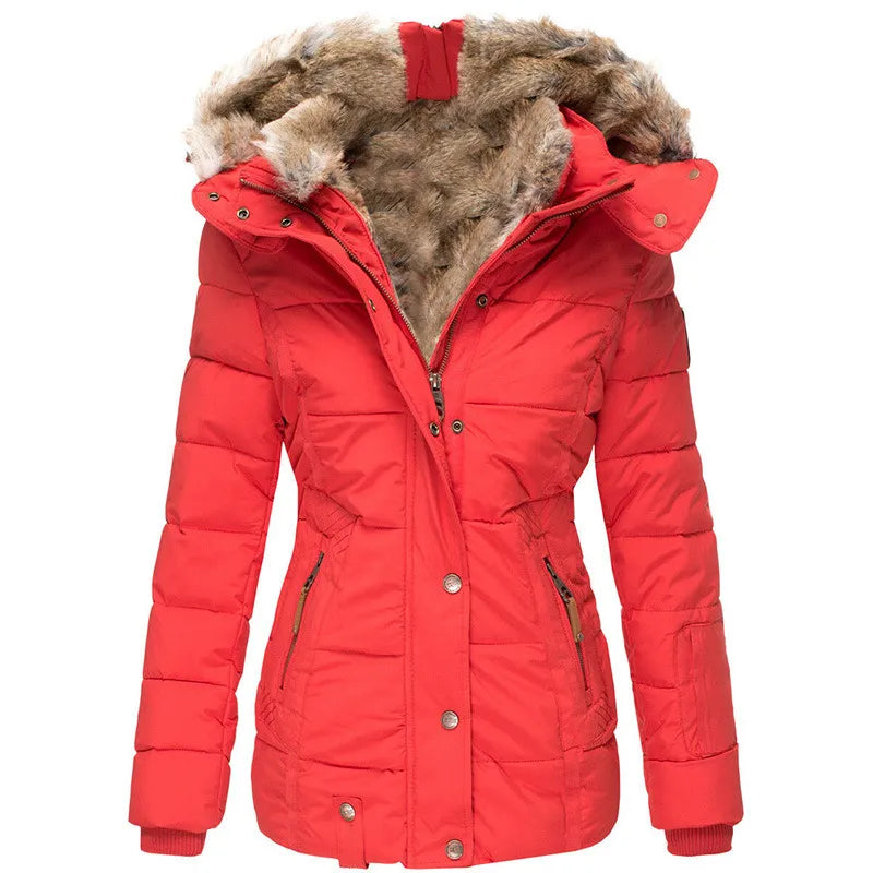 Celeste™ Winterbescherming